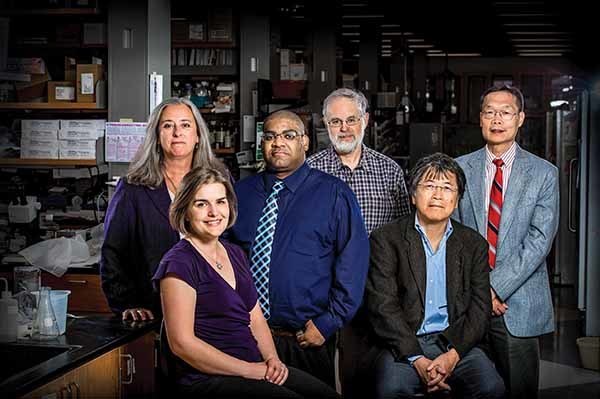 From left: Sharon Stack, Amanda Hummon, Reginald Hill, Steven Buechler, Hsueh-Chia Chang and Danny Chen bring diverse expertise to the common cause of fighting cancer. photo: Matt Cashore ’94
