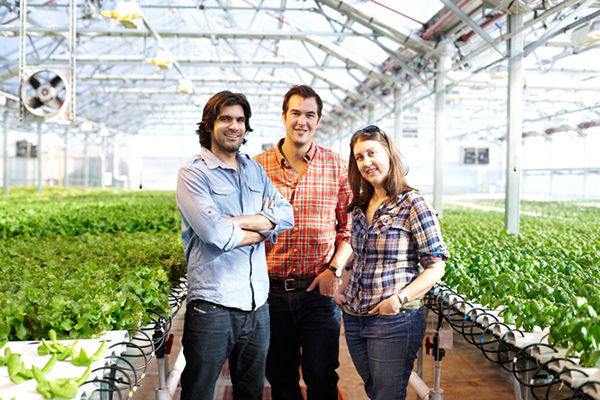 Gotham Greens, led by Puri, Haley and Frymark, has installed rooftop farms on facilities in New York City, including a Whole Foods Market in Brooklyn, and an eco-friendly cleaning supply factory in Chicago. photo: @2012 Mark Louis Weinberg