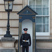 Standing guard at Buckingham Palace.