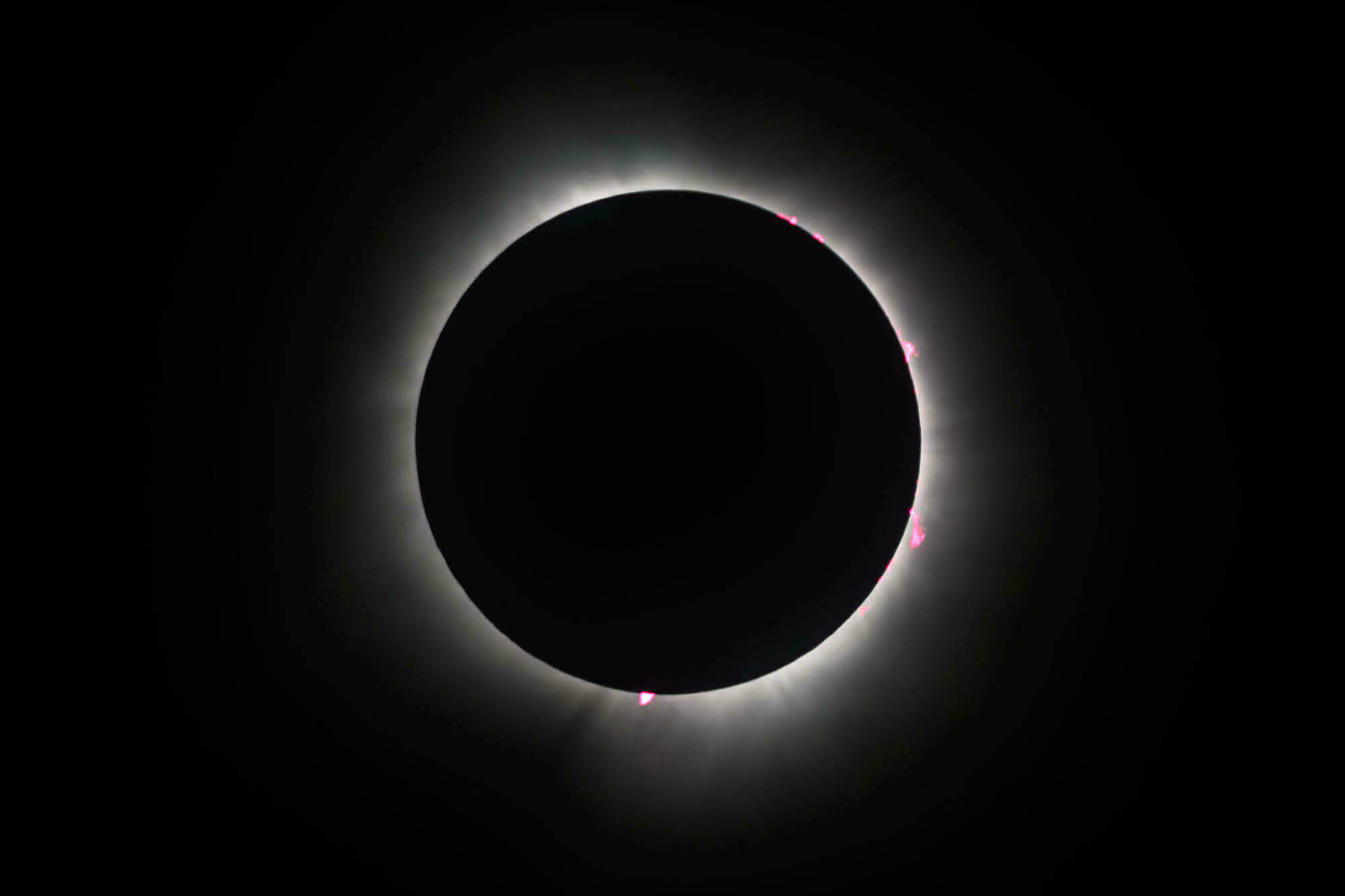 A photo of a full solar eclipse on April 8 with only the sun's corona visible behind the dark outline of the moon.