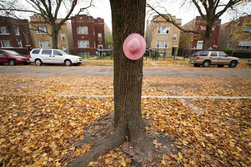 Heaven Sutton’s hat (pinned to a tree in her family’s yard) memorializes the 7-year-old killed as she finished selling candy — reportedly shot in a gang dispute on Chicago’s West Side