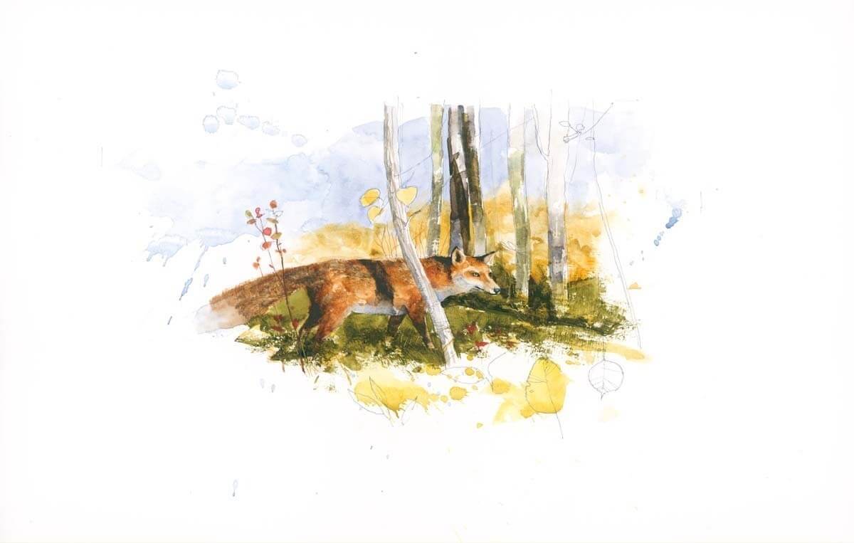 An illustration of a fox in the woods.