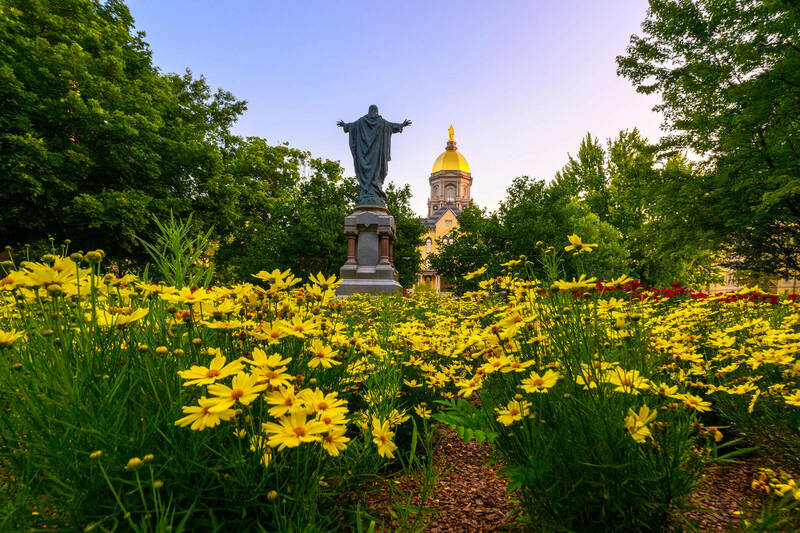 Flowers in bloom in the foreground with the Sacred Heart of Jesus statue and the Golden Dome in the background