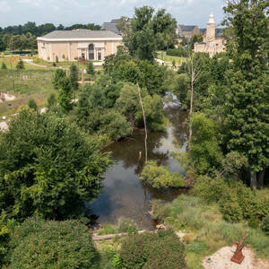 An aerial view of a small body of water surrounded by trees and tall grasses.